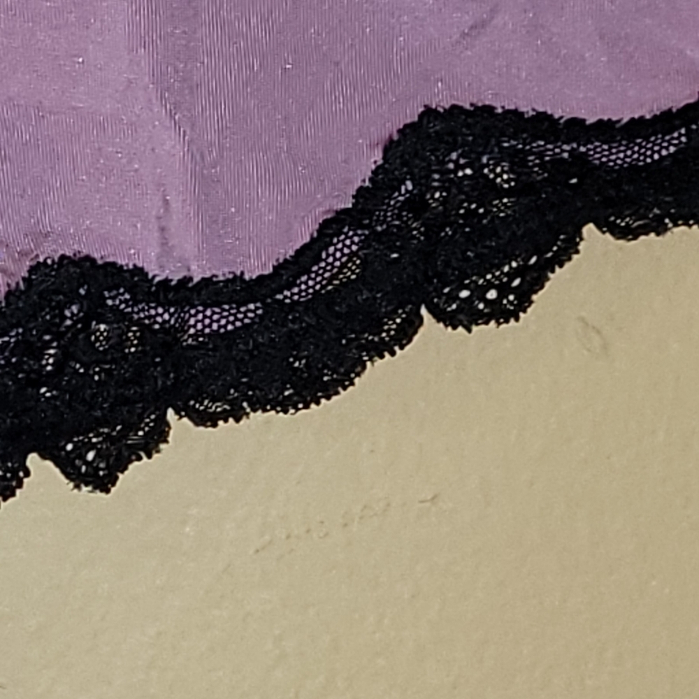Cacique Pink and Black Lace Cheeky Panties with Dreams Slogan- NWT - Picture 3 of 4